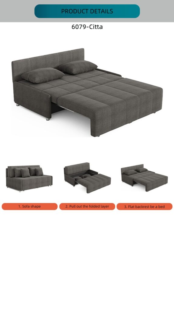 Citta Pullout Sofa Bed With Back Rest